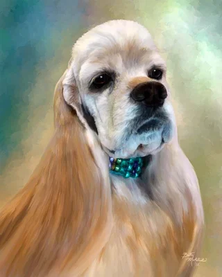 Dog Grooming By Jan logo