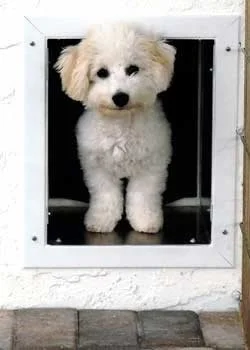 Pet Access Solutions logo