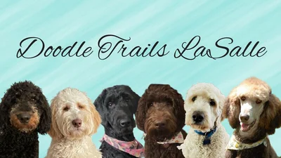 Doodle Trails Lasalle logo
