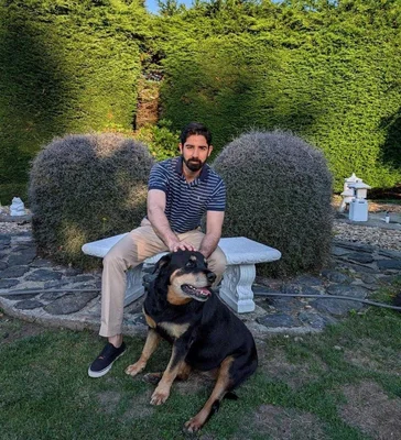 Midtown Veterinary Hospital logo