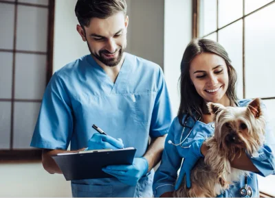 Clinique Vétérinaire du Wenheck logo