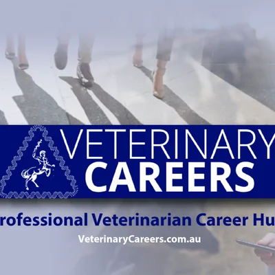 Borealis Veterinary ClinicVeterinarian