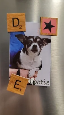 Animal Cardiology of Alabama