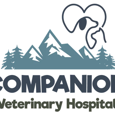 Companion Animal Hospital Kenosha