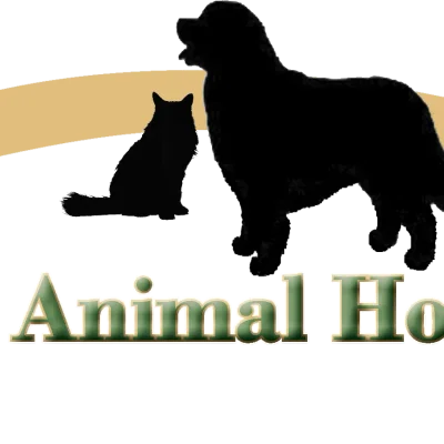 VCA Amherst Animal Hospital