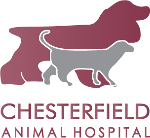 Chesterfield Animal Hospital