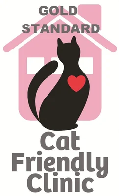 Vets4Pets - Bishopston