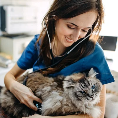 Racine Veterinary Hospital Inc