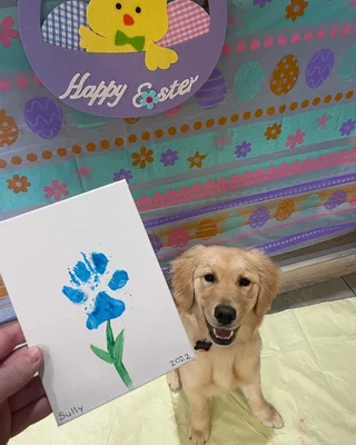 The Den Doggy Daycare logo