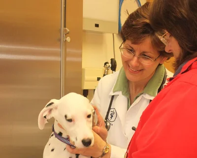 Hartzell Veterinary Service