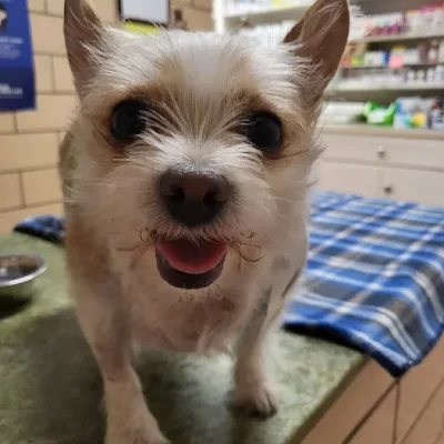 Labahn Veterinary Hospital