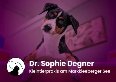 med. vet. Bettina Rohrbach