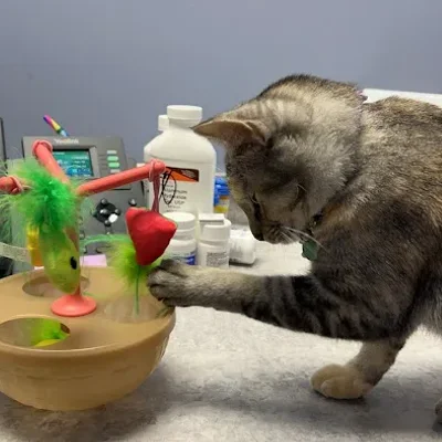 VetCheck Pet Urgent Care Center Bloomington