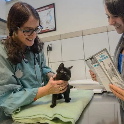 Spca Veterinary Hospital logo