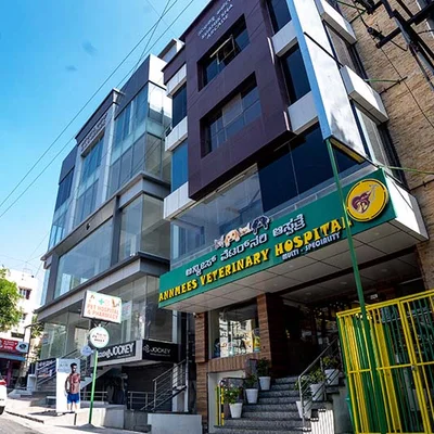 Anima-Plus Veterinary Hospitals logo