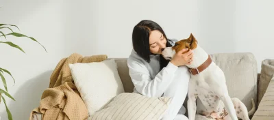 Clinique Vétérinaire De Hull logo