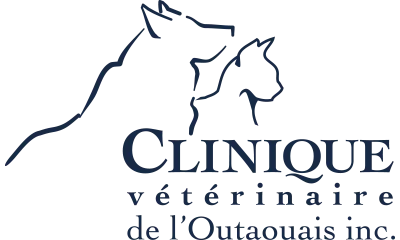 Clinique Vétérinaire De L'Outaouais logo