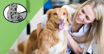 Dre Véronique Jolicoeur logo