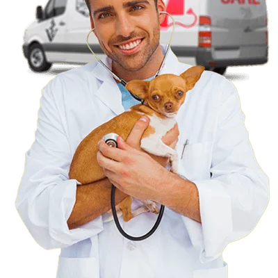 My Vet at Home Mobile