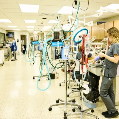 Metzger Animal Hospital