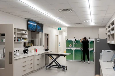 Novel Vet: Accessible Pet Healthcare logo