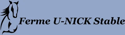 U-Nick logo
