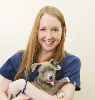 Abercorn Vets Portabello High Street logo