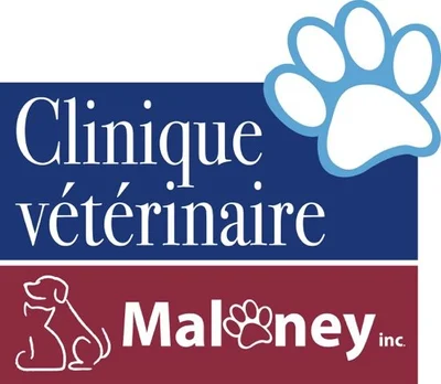Clinique Vétérinaire Maloney logo