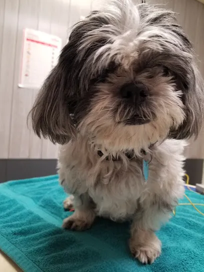 Urbana Veterinary Clinic