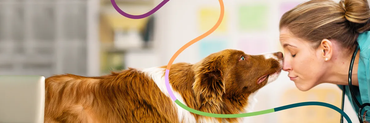 Little Neck Veterinary Care, A PetOne Veterinary Hospital