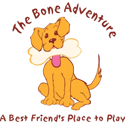 The Bone Adventure