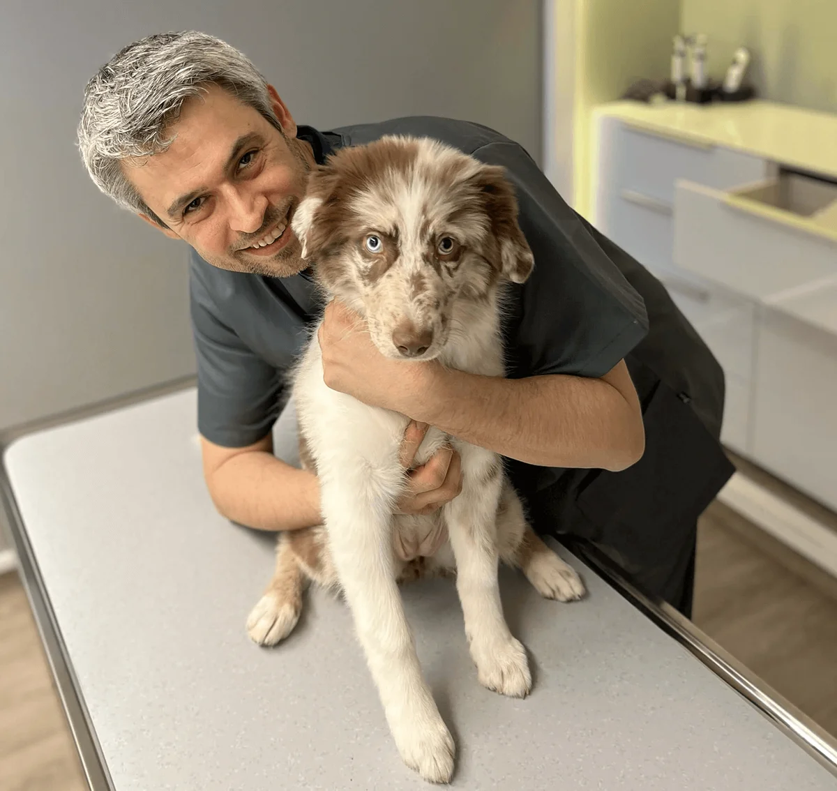 profelios Tierärztliche Gemeinschaftspraxis