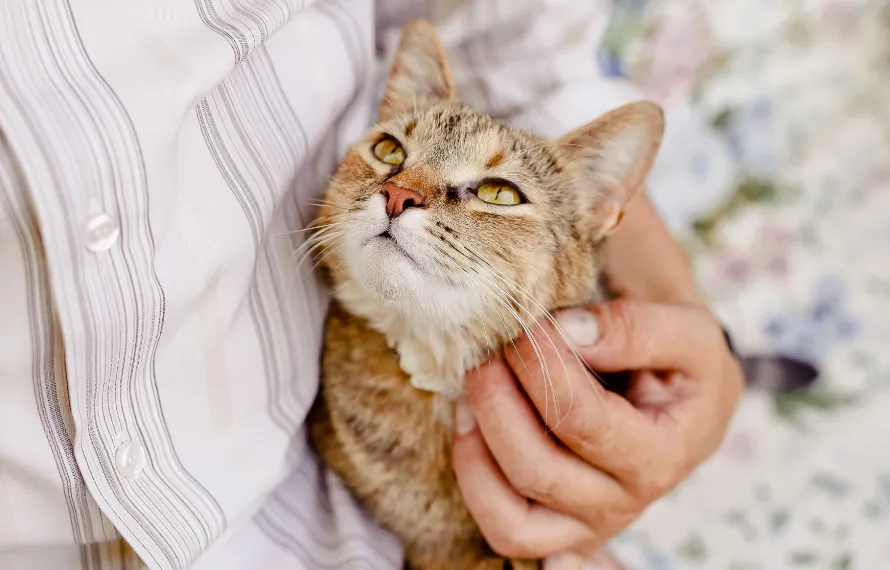 Murrieta Oaks Veterinary Hospital