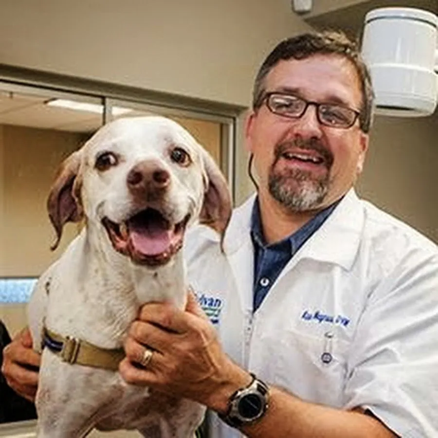 Sylvan Veterinary hospital