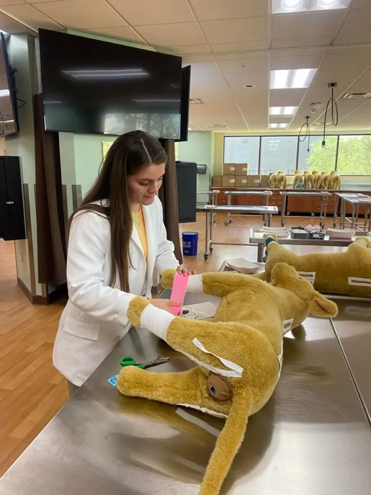 Laurie and Joe's Labs