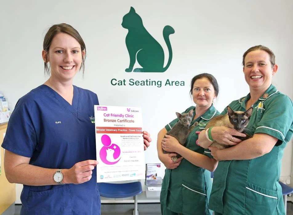 The Minster Veterinary Practice, Salisbury Road