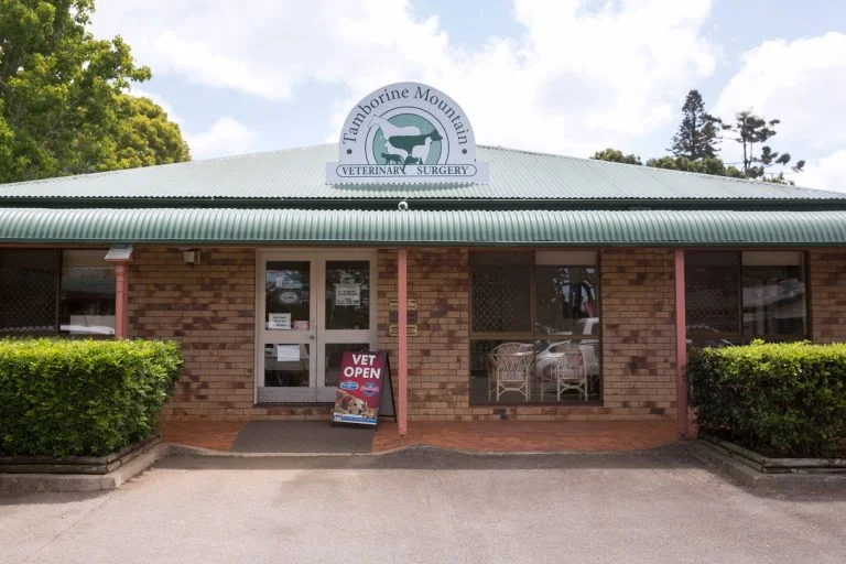 Tamborine Mountain Veterinary Surgery