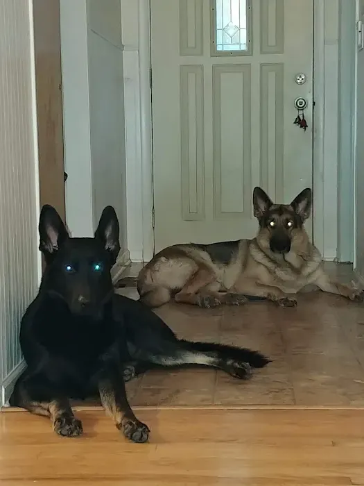 Brookside Veterinary Clinic