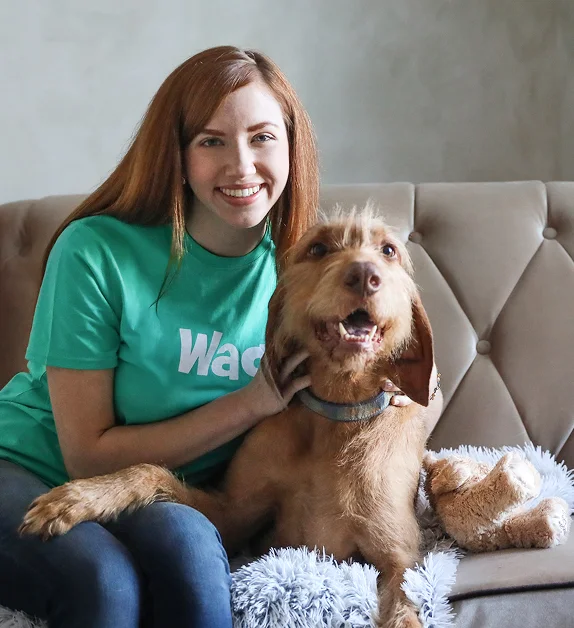 Vetted - Orange County