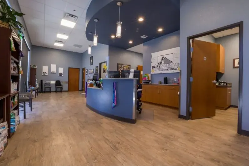 Daisy Mountain Veterinary Hospital