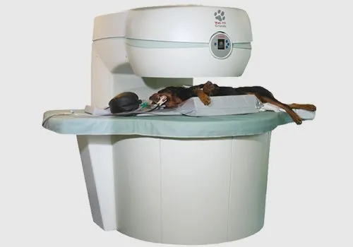 Veterinary Healing & Advanced Imaging