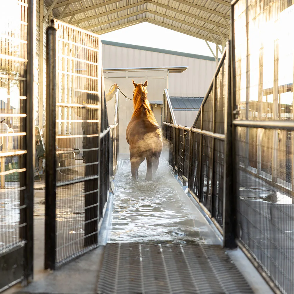 Premier Equine Center
