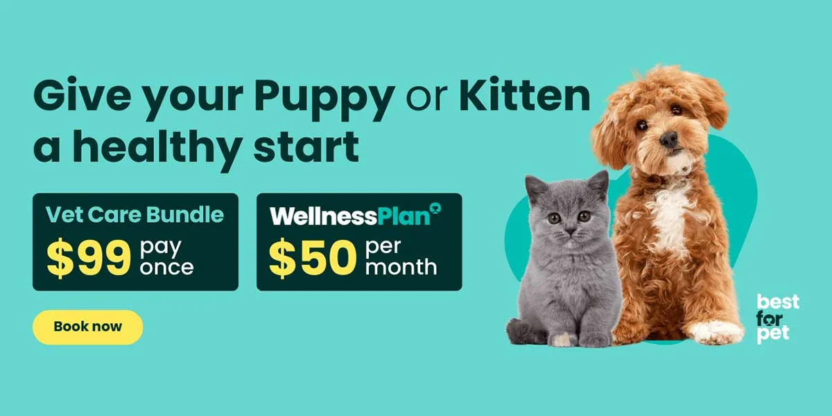 MacKenzie-Wood Peter