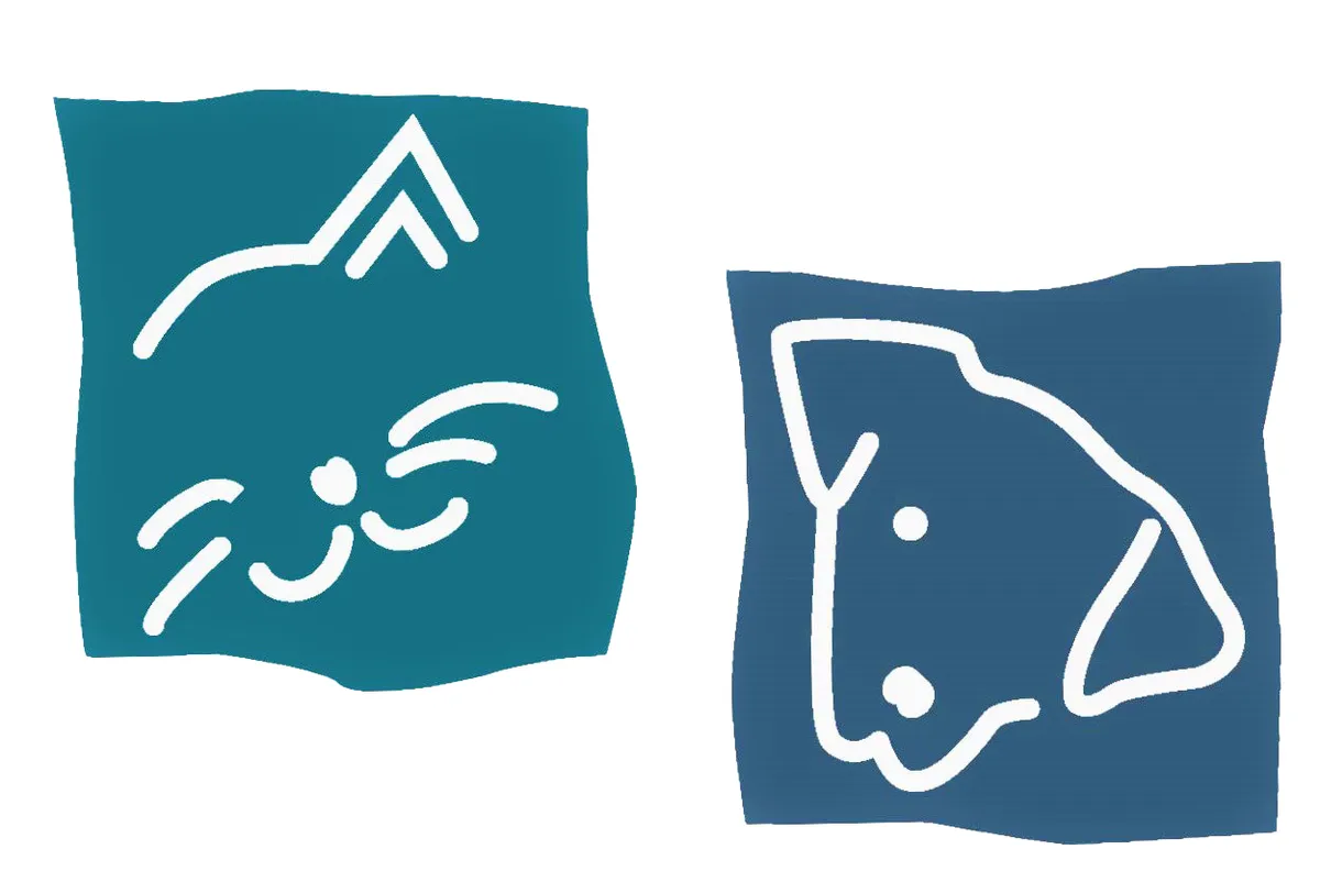 Matanzas River Animal Hospital