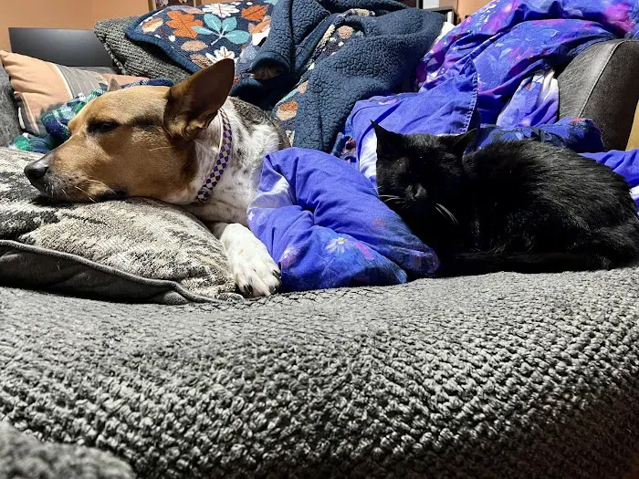 Chateau Veterinary Hospital