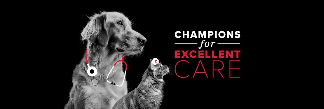 Windy Hill Veterinary Hospital