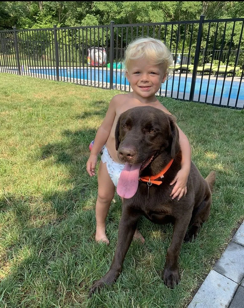 Aquebogue Veterinary Hospital