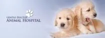 Gentle Doctor Animal Hospital