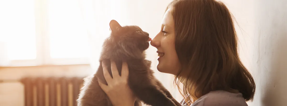 Walker Street Dog & Cat Hospital