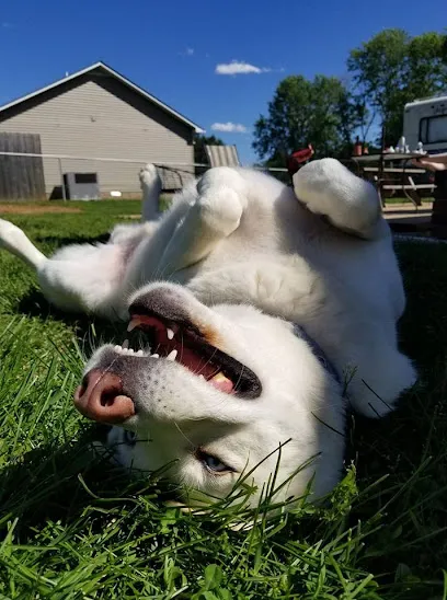 Copeland Veterinary Hospital